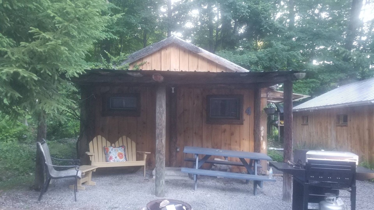 Trumansburg Cabin | 2 bed, 1 bath lake property!