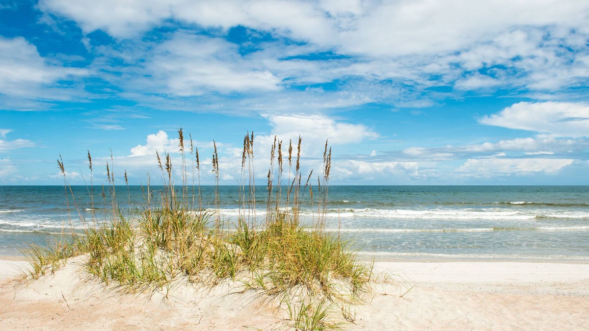 Fernandina Beach House | 2 Bed/2.5 Bath Townhome In Gorgeous Timeless Amelia Island Steps from the Beach