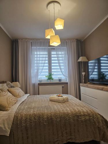 Zyrardow Apartment | 2 Bed Apartment in Zyrardow