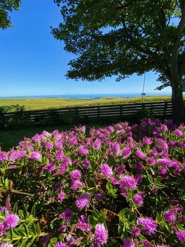 Woodingdean House | 2 Bed Retreat with amazing see view