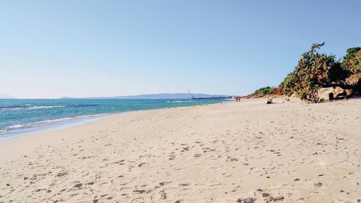 Scansano Apartment | 2 bedroom accommodation in Scansano GR