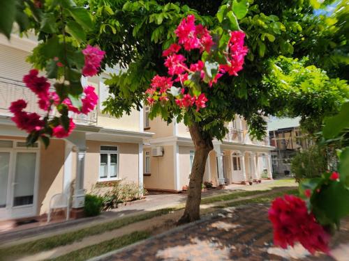 Bain Boeuf Apartment | 2 bedroom apartment in Bain Boeuf