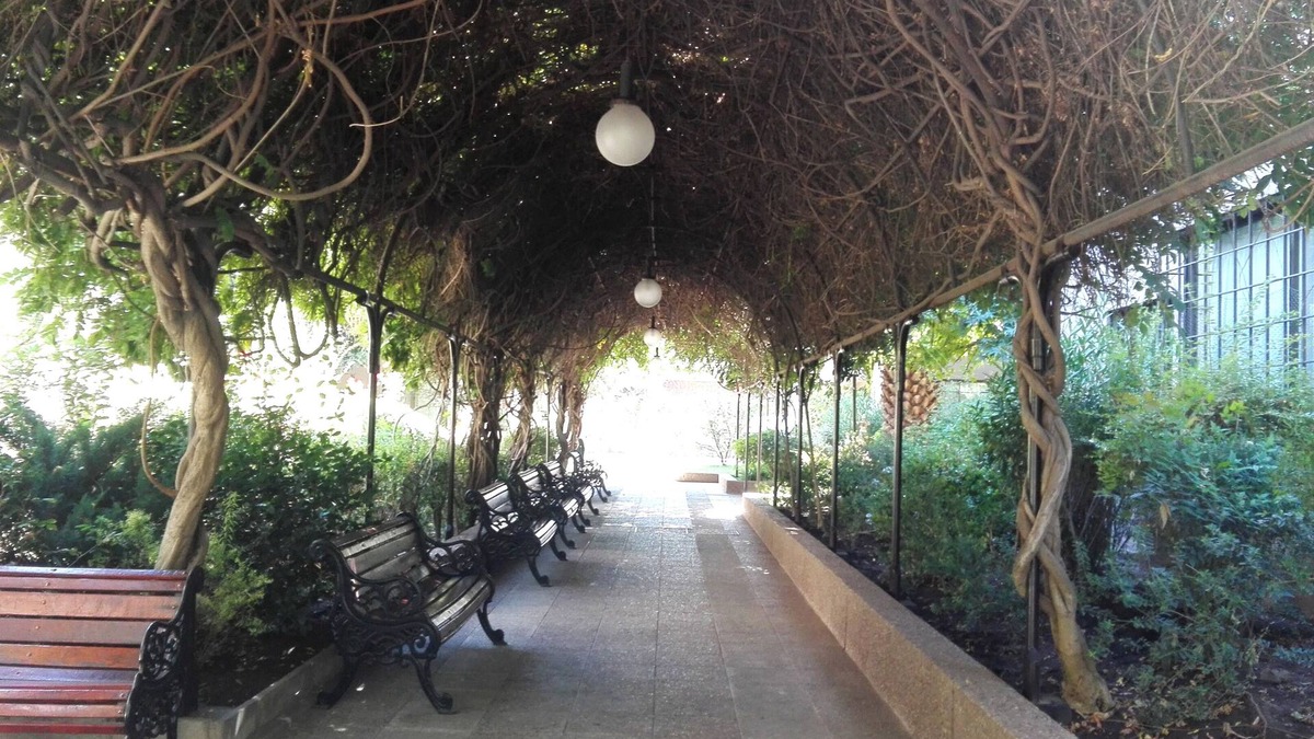 Santiago Apartment | 2-bedroom apartment in marvelous Ñuñoa neighborhood with car parking, WiFi,