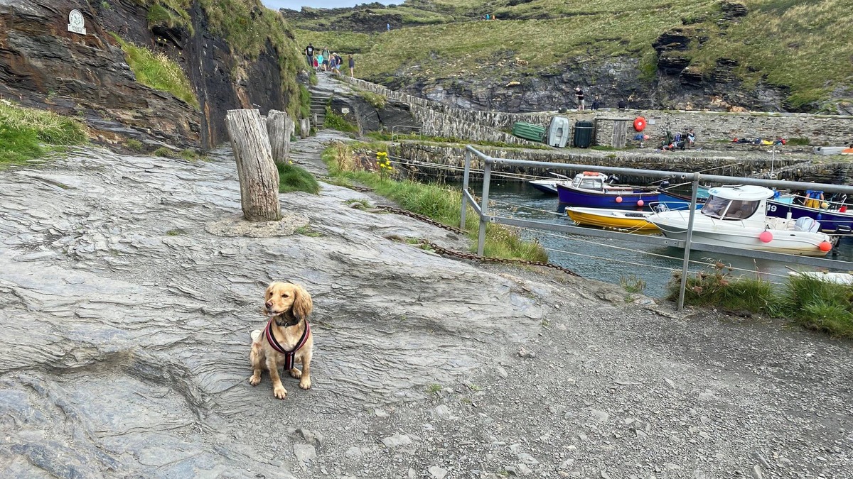 Boscastle Cottage | 2 bedroom cottage: private parking, by harbour, pubs. Boscastle - North Cornwall