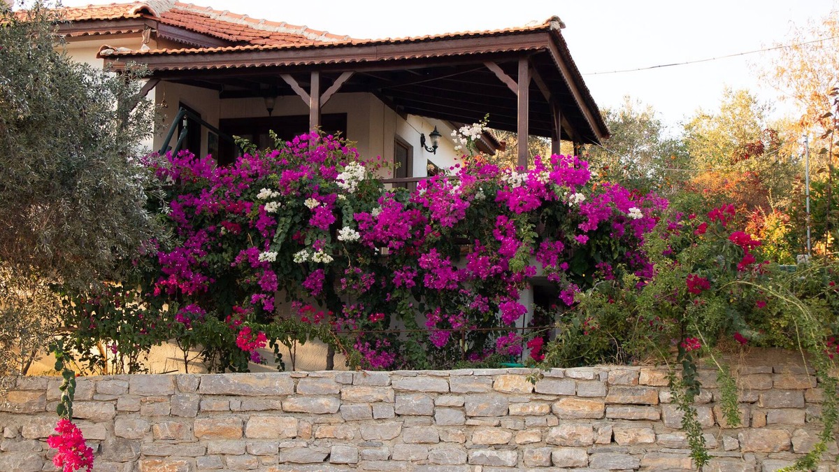 Mesudiye House | 2 bedroom house with sea and nature views