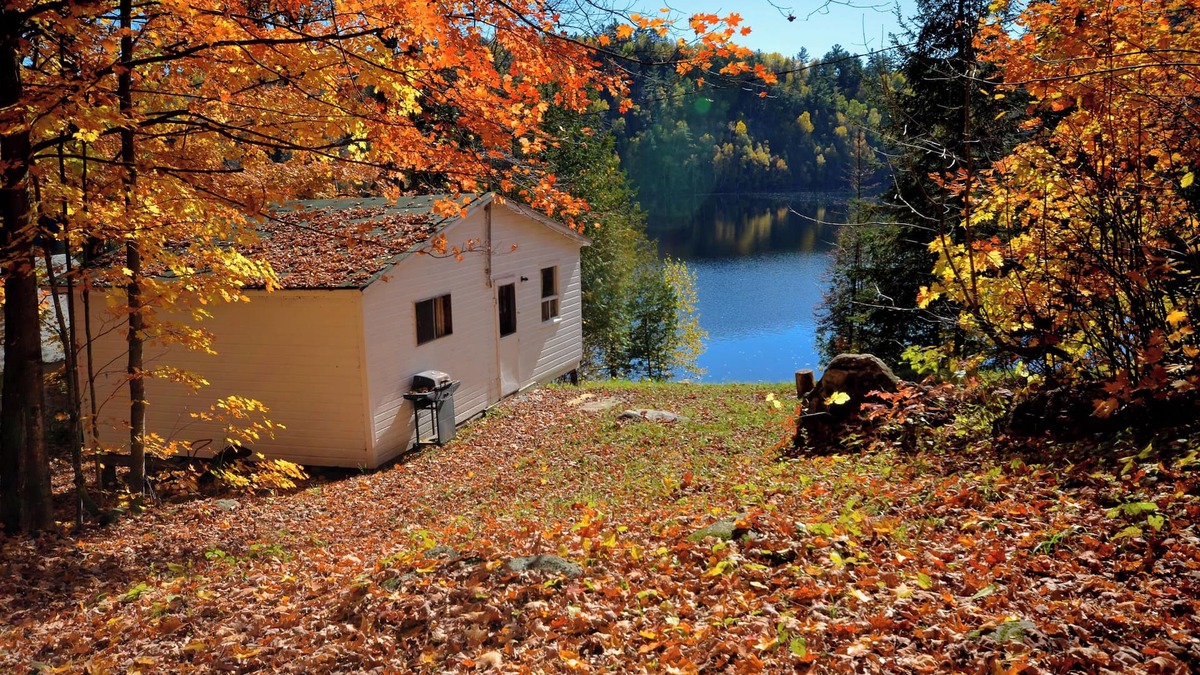 Hastings Highlands Cottage | 2 Bedroom Lakefront Cabin on Baptiste Lake