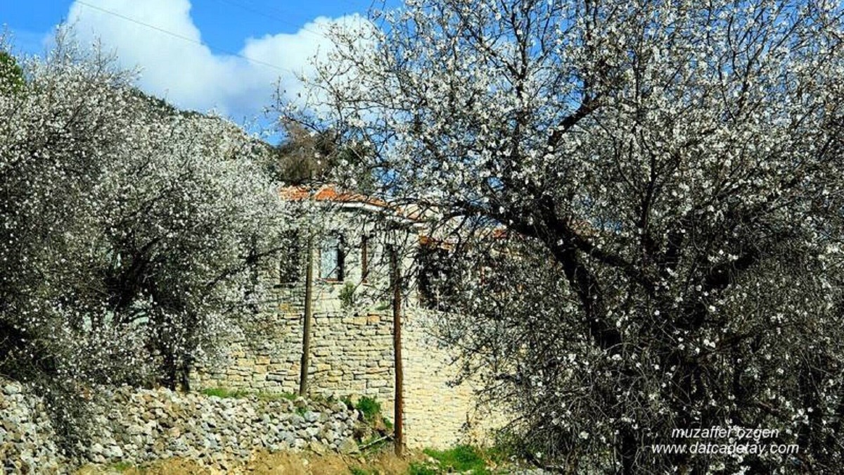 Mesudiye House | 2 bedroom lovely stone house with wonderful views