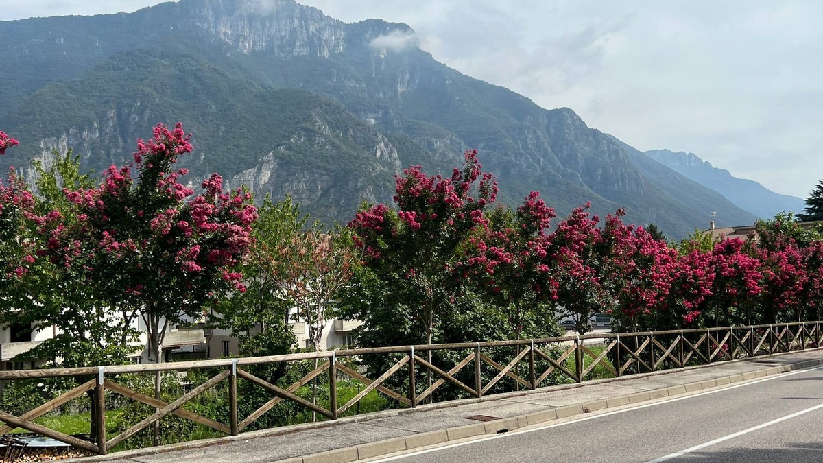 Arsiero House | 2 Bedroom Private vacation home in Arsiero