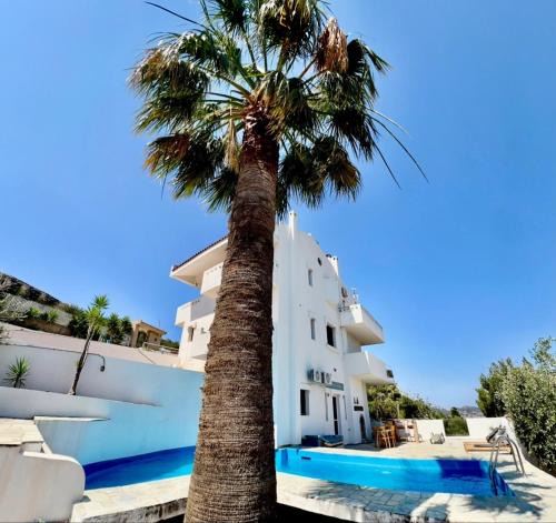 Palaia Fokaia Apartment | 2 bedroom self-contained apartment and swimming pool at Palm Tree Villa