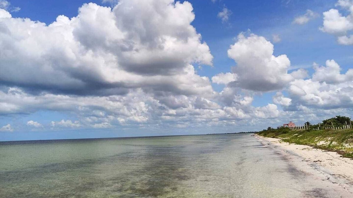 Yucatan Peninsula House | 2 bedrooms 3 bathrooms 100 feet from the beach