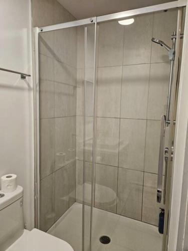 Longue-Pointe Apartment | 2 bedrooms on 2 floor in Hochelaga area - D107
