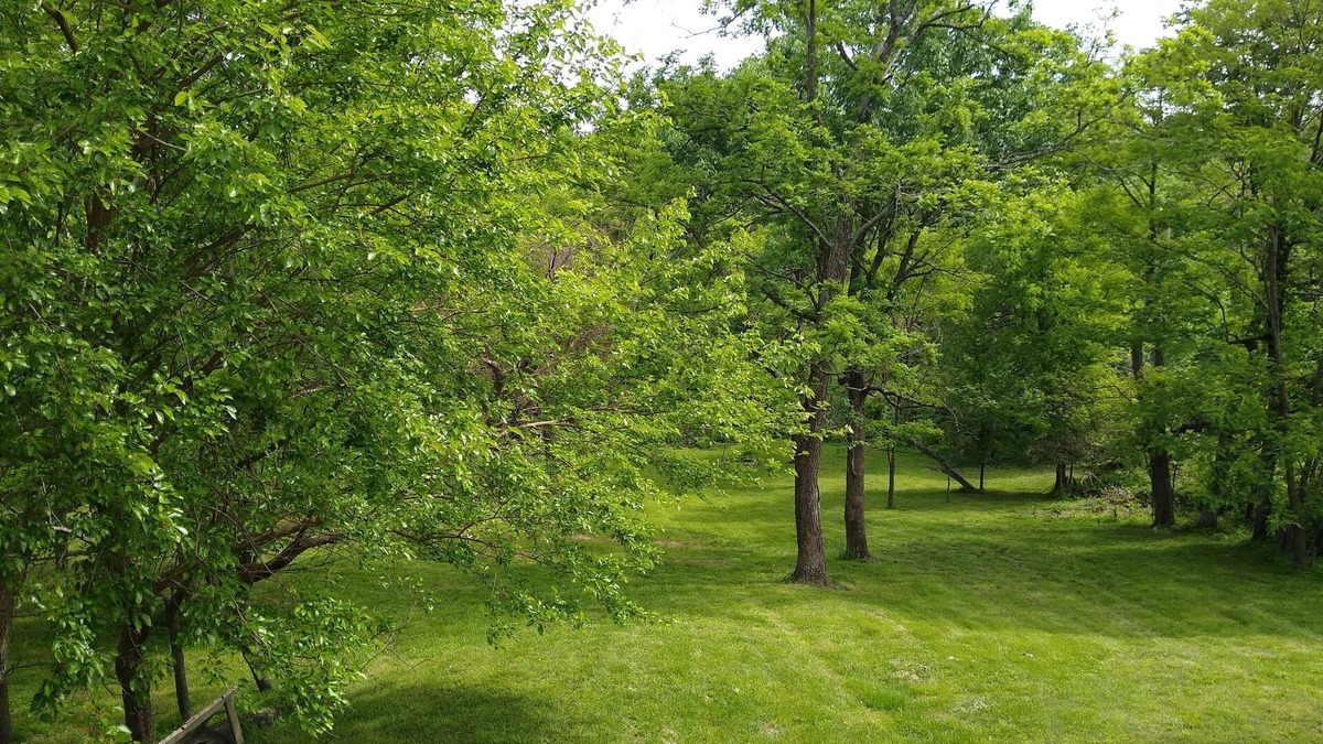 Fulda Cottage | 2-BR loft home, private lake for fishing/swimming, Tell City area rural estate