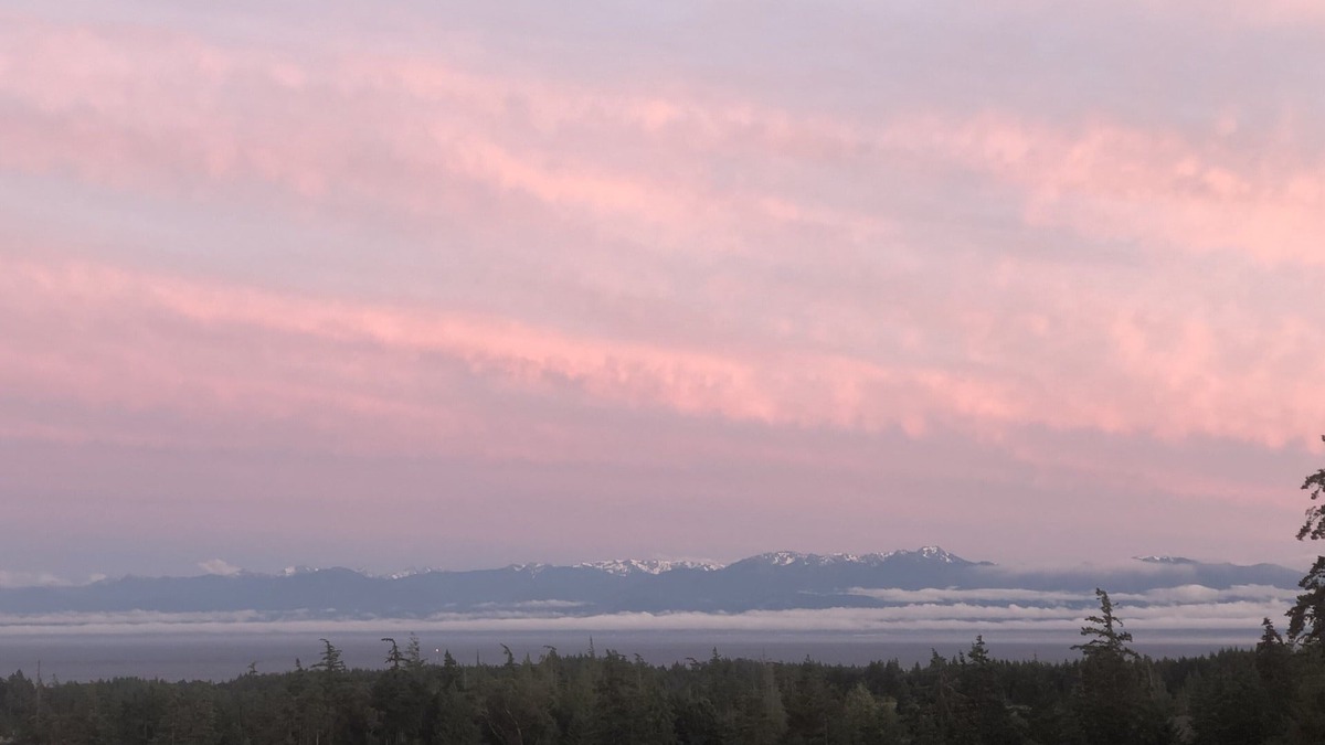 Colwood House | 2 BRDM MODERN Suite in Royal Bay w/Ocean View
