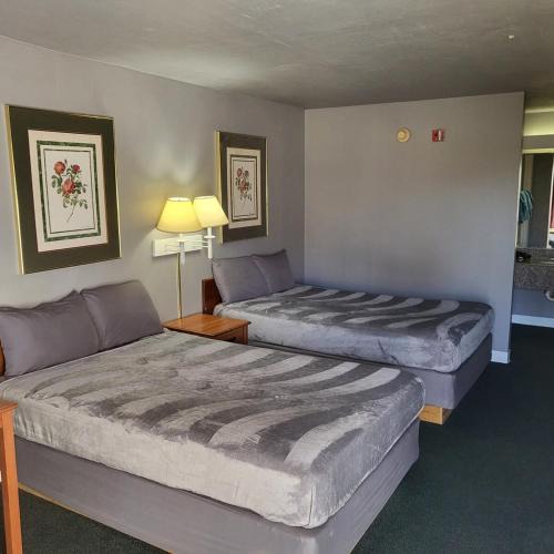 Livingston Apartment | 2 Full Bed Private Room 130