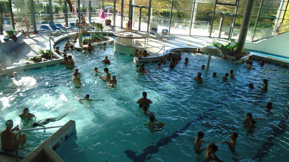 La Ferriere-en-Parthenay House | 2 gites, can sleep 12 people meet with your family or friends in the countryside