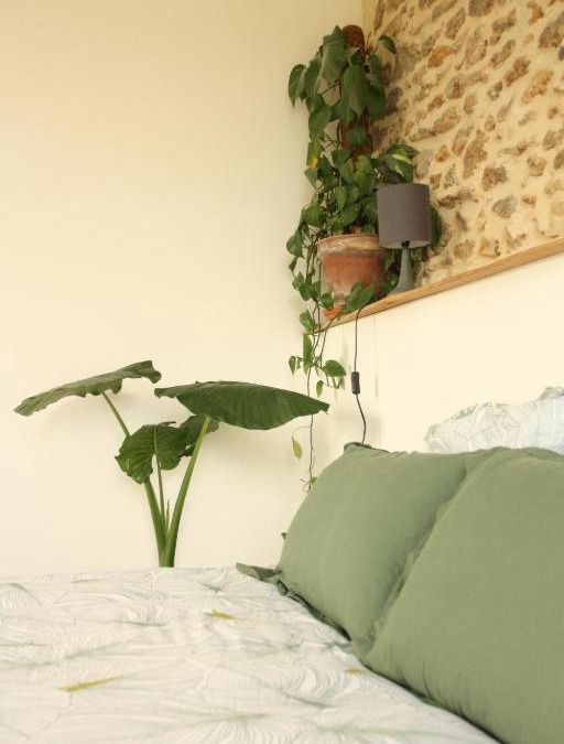 Bonnut House | 2 Gites 4 étoiles pour 2 à 4 personnes et jusqu'à 10 personnes, entre Béarn, Pays basque et Chalosse