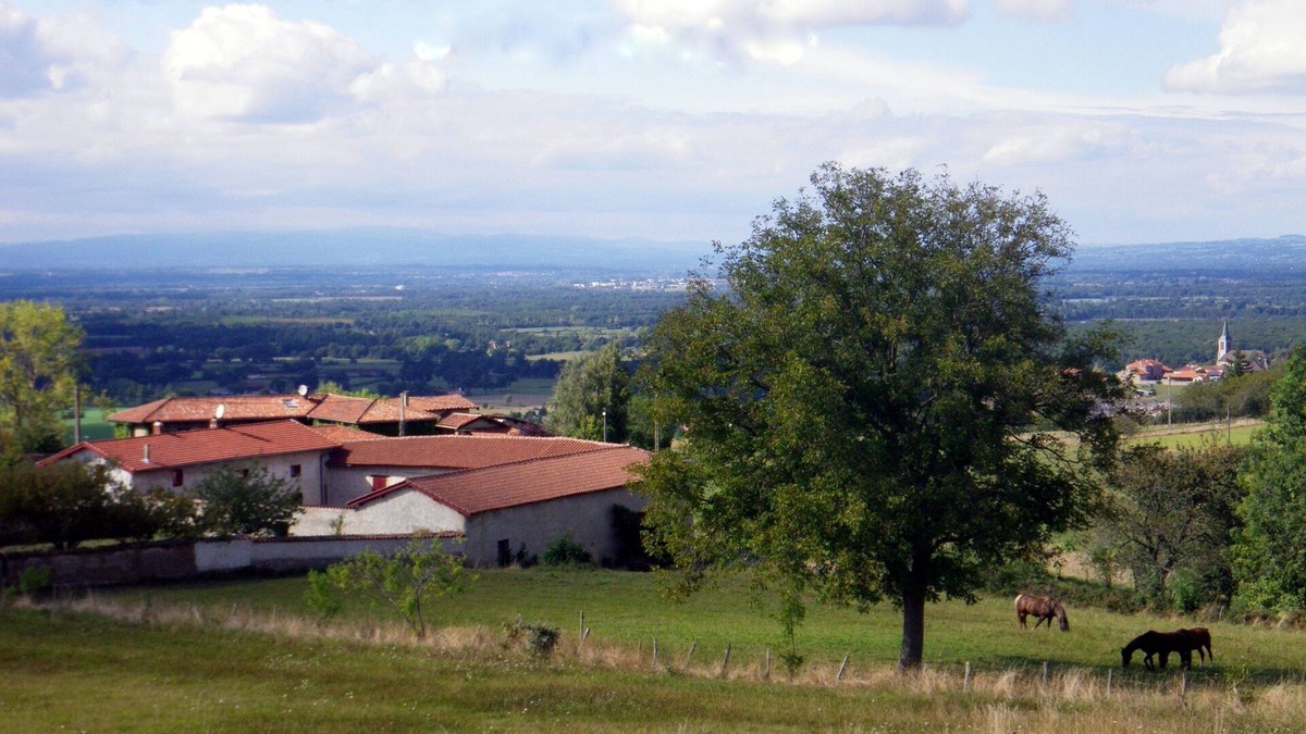 Saint-Cyr-les-Vignes Cottage | 2 independent gites in the hamlet of Granges