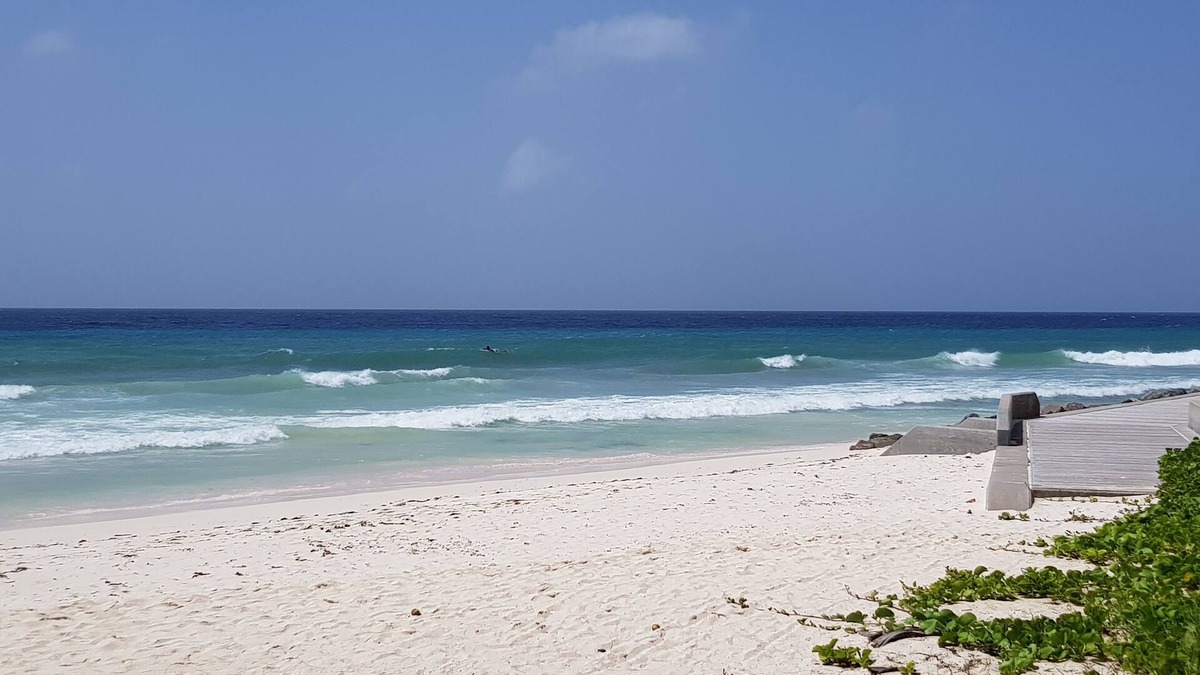 Rockley Apartment | 2 minute Walk to Beach, Newly Renovated, 2 Bedroom 2 Bathroom Apartment #1