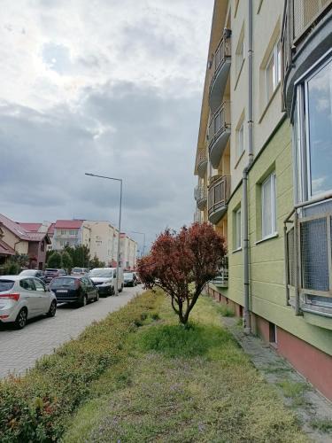 Pila Apartment | 2 Pokoje 4 łóżka Ul Prusa Centrum 45m balkon dla max 4 osób