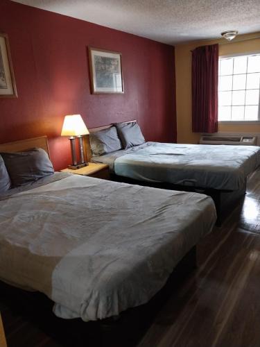 Jackson Apartment | 2 Queen Beds Hotel Room 111