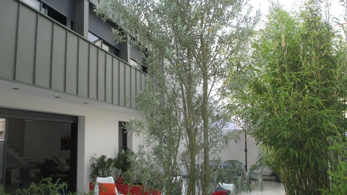 Pontaillac House | 20 m de la Plage de Pontaillac à Royan, Rare, Maison de Ville Avec Jardin