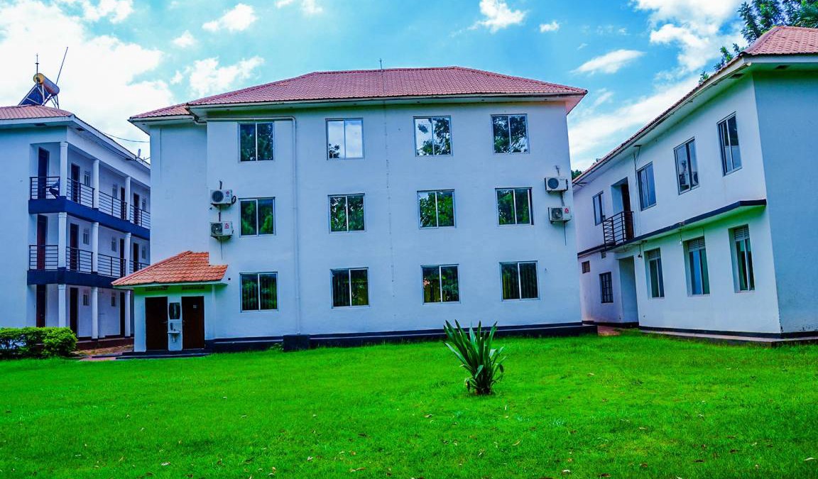Jinja Hotel | 20 m² Hotel ∙ 3 guests