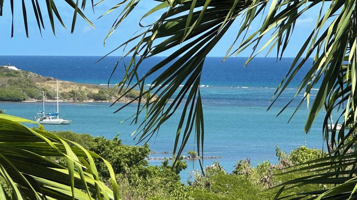La Grande Princesse Villa | 20% OFF NEW LISTING SPECIAL! Large 4/4 Villa on St. Croix USVI with pool & view