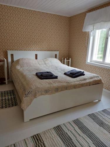 Taivassalo Ski Chalet | 200 years old small cottage with sauna close to archipelago