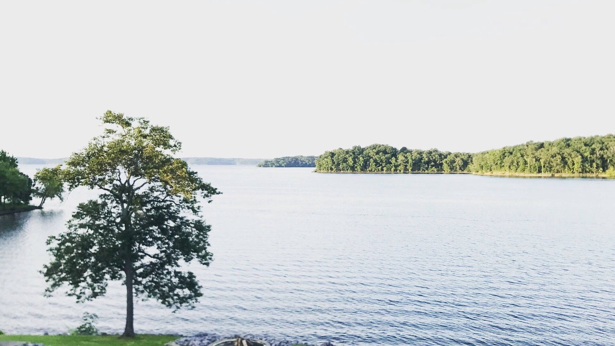 Benton Condo | 2023 RENOVATED Waterfront Condo, Great Location-Boat Rental-Pool-Fire Pit