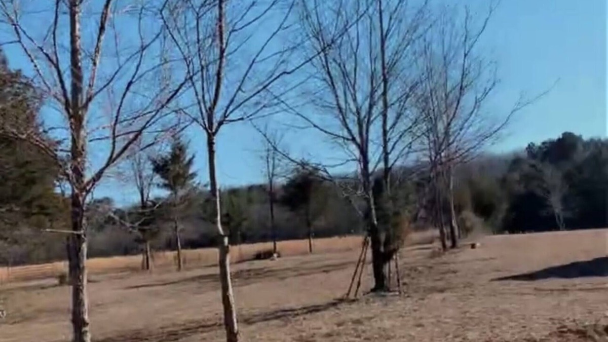 Morrilton RV Rental | 2024 Eclipse 6 Acres Parking Space