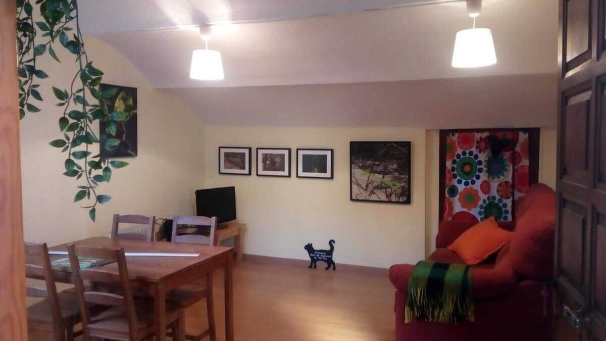Villaviciosa Apartment | 202A Ático con encanto - Centro Villaviciosa