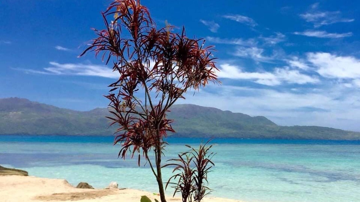 Las Galeras Bed & Breakfast | 21 Palms