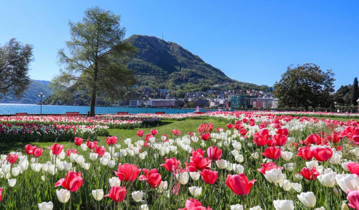 Lugano Apartment | 220 m² Apartment ∙ 3 bedrooms ∙ 5 guests