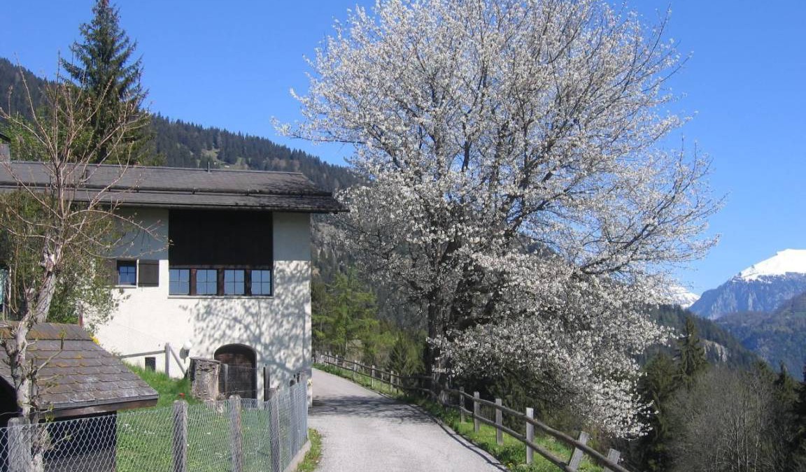 Praz House | 220 m² House ∙ 4 bedrooms ∙ 8 guests