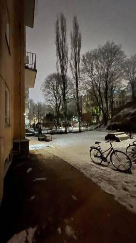 Alppiharju Apartment | 24 m² Apartment ∙ 1 bedroom ∙ 4 guests