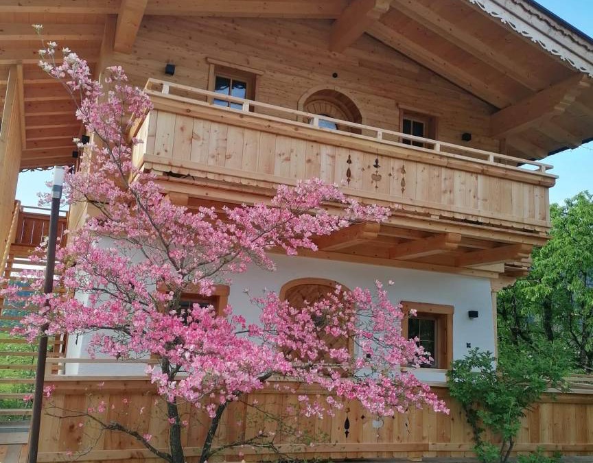 Kirchbichl Apartment | 25 m² Apartment ∙ 1 bedroom ∙ 2 guests