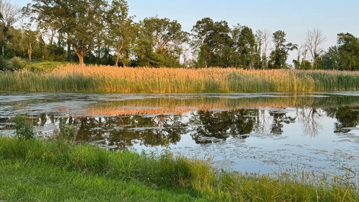 Johnsonburg House | 250 Acres of Refined Serenity for Bespoke Events & Gatherings