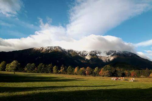 Puchberg Am Schneeberg House | 250 m² House ∙ 3 bedrooms ∙ 10 guests