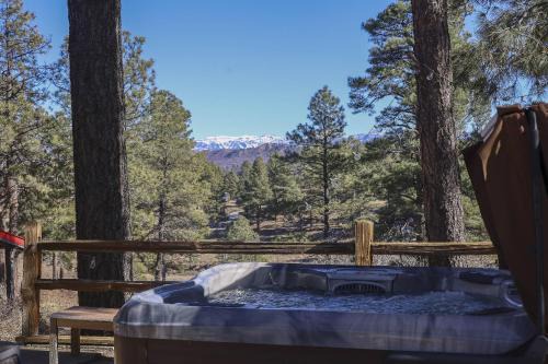Pagosa Springs House | 255 Peregrine