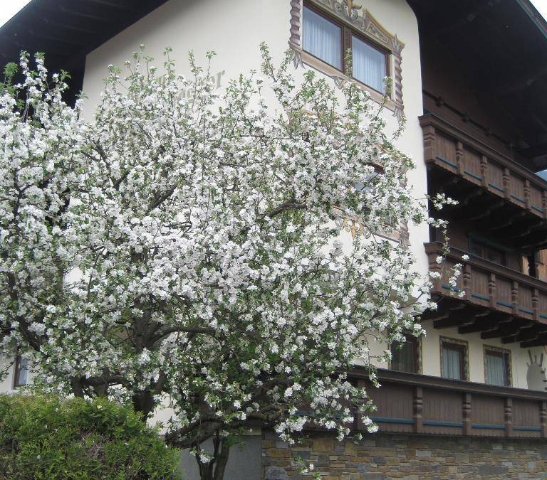 Stumm Hotel | 26 m² Hotel ∙ 1 bedroom ∙ 3 guests