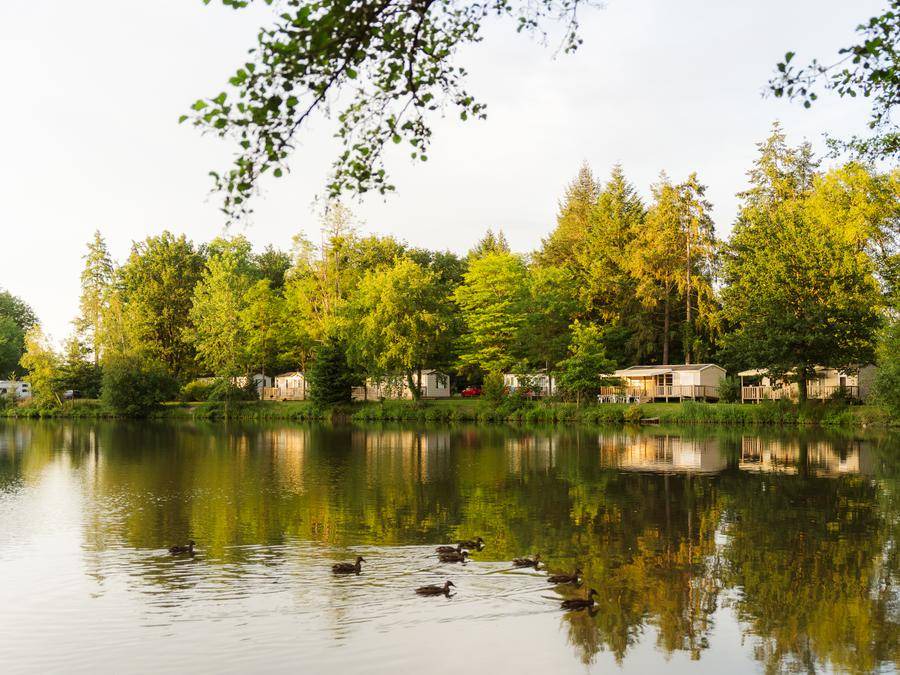 Nouan-le-Fuzelier House | 28 m² Mobile home ∙ 2 bedrooms ∙ 4 guests
