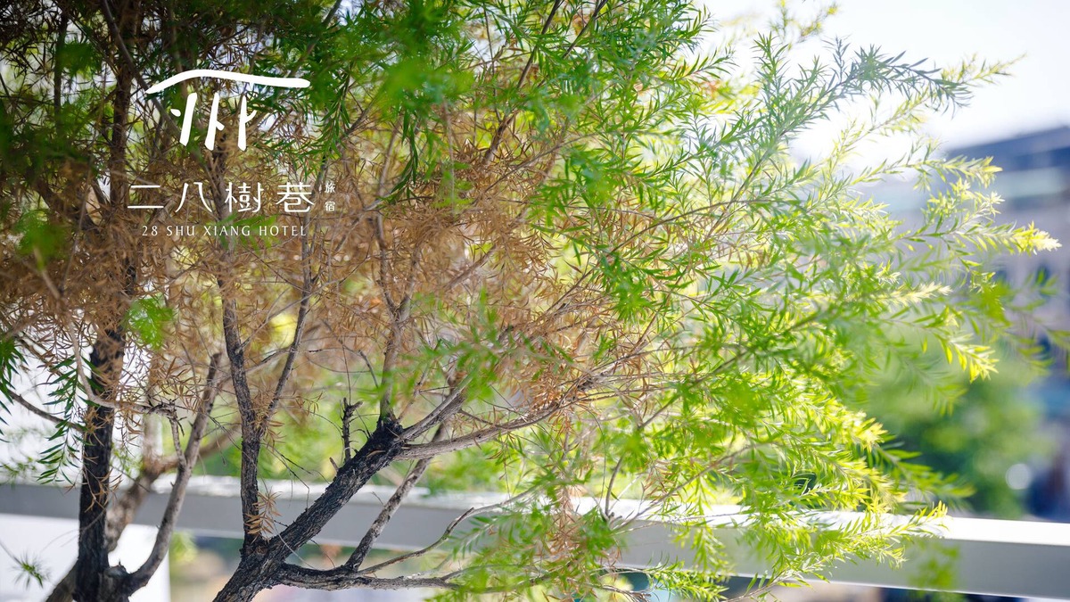 Xitun District Bed & Breakfast | 28 Shu Xiang Hotel