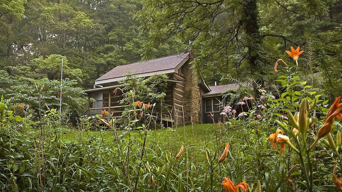 Helmsburg Cabin | 2BR+, 2 BA