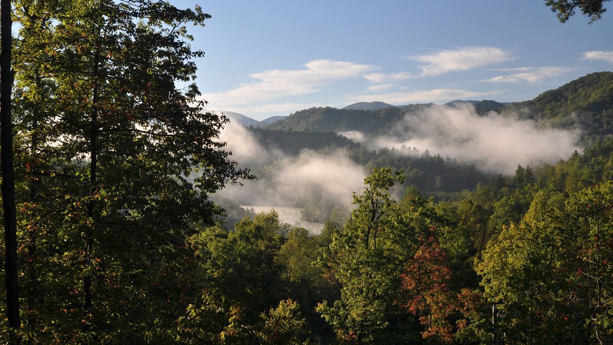 Robbinsville Cottage | 2br, 2ba Cottage Overlooking Lake Santeetlah & Natahala National Forest, Hot Tub