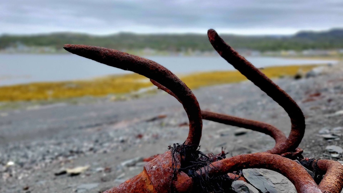 Rocky Harbour House | 2BR Oceanfront Home in Gros Morne Ntl Park