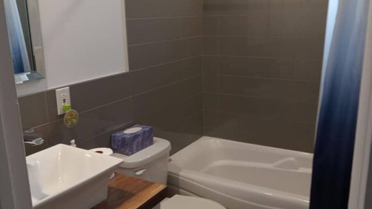 Les Rivieres Apartment | 3,5 rénove avec cour anglaise