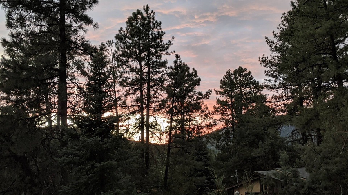Pine Cabin | 3 Bdrm Pet Friendly Cabin, King Bed, AC, Walking distance to Pine attractions 🌲