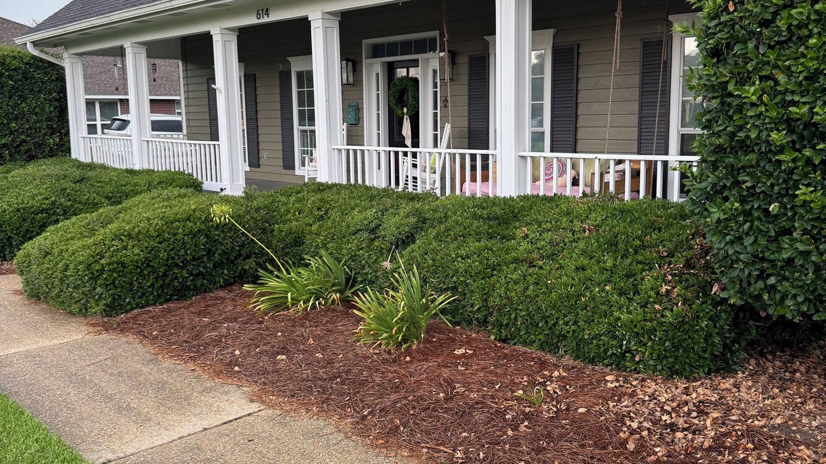 Gulfport House | 3-bedroom, 2.5 bath Acadian style house in amazing Gulfport, close to beach