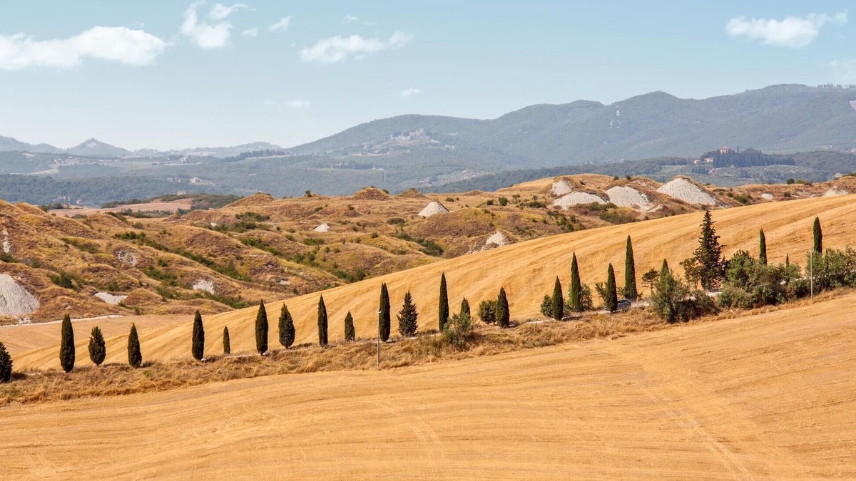Serre di Rapolano Apartment | 3 bedroom accommodation in Rapolano Terme