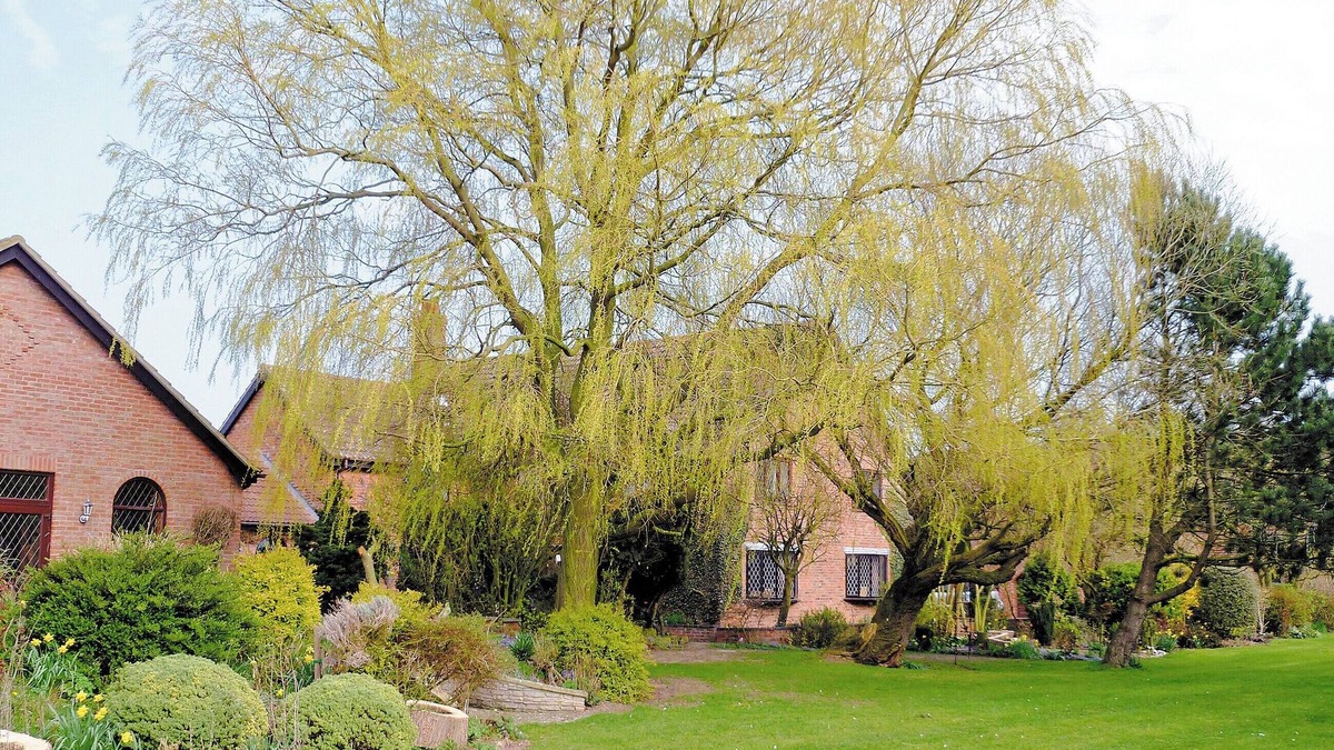 Skegness Cottage | 3 bedroom accommodation in Addlethorpe